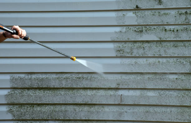 Best Pressure Washing Patio  in Prceton, IN