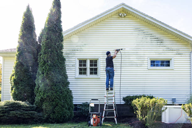Best Roof Pressure Washing  in Prceton, IN
