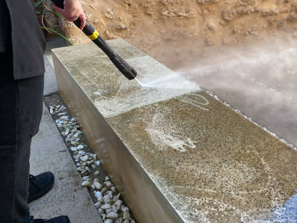 Best House Pressure Washing  in Prceton, IN